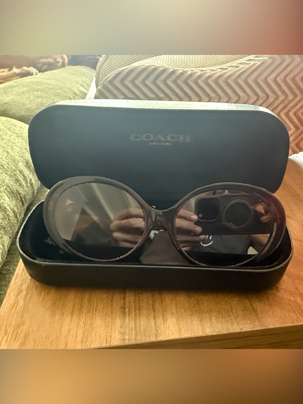 Coach Oversized Round Sunglasses in Dark Brown